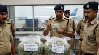 சென்னை விமான நிலையத்தில் ரூ.1 கோடி மதிப்புள்ள கஞ்சா பறிமுதல்! கடத்தல் குருவி சிக்கினார்! பரபரப்பு!