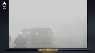 Punjab Weather Today: ਪੰਜਾਬ ‘ਚ ਅੱਜ ਵੀ ਧੁੰਦ-ਠੰਢ ਦੀ ਲਹਿਰ, ਤੇਜ਼ੀ ਨਾਲ ਹੇਠਾਂ ਡਿੱਗਿਆ ਪਾਰਾ, ਕਈ ਸ਼ਹਿਰਾਂ 'ਚ ਜ਼ੀਰੋ ਵਿਜ਼ੀਬਿਲਟੀ, 31 ਦਸੰਬਰ ਤੋਂ ਬਾਰਿਸ਼ ਦਾ ਅਲਰਟ