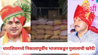 Dharashiv Nagarparishad Election Result 2025: धाराशिवमध्ये निकालापूर्वीच भाजपकडून टेम्पो भरून गुलालाची खरेदी, राणाजगजितसिंह पाटील, ओमराजे निंबाळकरांच्या प्रतिष्ठेचा आज फैसला