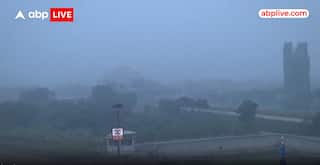 Delhi NCR Sees Slight Relief as Fog Thins and Air Quality Improves, Cold Wave Continues