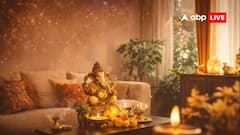 नया साल 2026 आने से पहले घर में लाएं ये 9 चीजें! तनाव दूर होने के साथ नेगेटिव एनर्जी होगी दूर