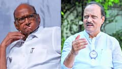 बारामतीमध्ये अजित पवारच बॉस, शरद पवारांच्या राष्ट्रवादीला फक्त एकच जागा