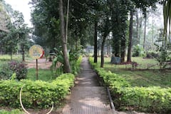 Tirumala News: తిరుమల కొండలకు మరో మణిహారం.. 3.90 ఎకరాల్లో దివ్య ఔషధ వనం ఏర్పాటు