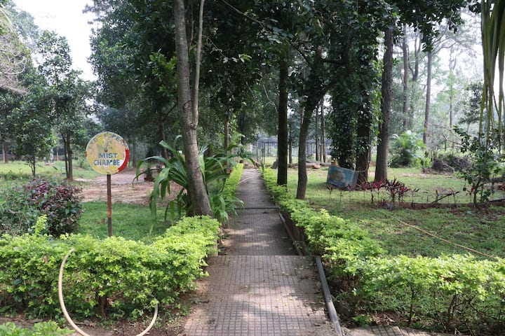 కలియుగ ప్రత్యక్ష దైవం శ్రీ వేంకటేశ్వరస్వామి కొలువైన తిరుమల కొండలకు మరో మణిహారం చేరనుంది. భారత సాంప్రదాయ వైద్యానికి ప్రాణం పోసే ఔషధ మొక్కల సంరక్షణ లక్ష్యంగా తిరుమలలో టీటీడీ రూ.4.25 కోట్లతో దివ్య ఔషధ వనాన్ని ఏర్పాటు చేయాలని నిర్ణయించింది.