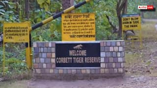 उत्तराखंड: क्रिसमस–न्यू ईयर को लेकर बढ़ाई जंगलों की सुरक्षा, जानें क्या है वजह?