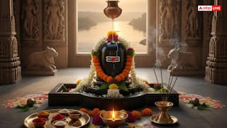 Somwar Puja: ग्रह दोष से मुक्ति चाहिए? धन, स्वास्थ्य और सुख के लिए सोमवार को ऐसे करें महादेव की पूजा