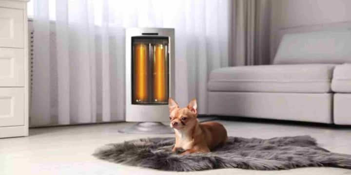 बहुत से लोग कमरे के साइज को नजर में रखे बिना ज्यादा या कम वॉट का हीटर खरीद लेते हैं. BIS के अनुसार, गलत पावर इनपुट वाला हीटर जरूरत से ज्यादा गर्म हो सकता है और बिजली की खपत भी बढ़ा देता है. इससे न सिर्फ बिजली का बिल बढ़ता है बल्कि आग लगने का खतरा भी पैदा हो जाता है. इसलिए हीटर की क्षमता कमरे के आकार के अनुसार चुनना बेहद जरूरी है.