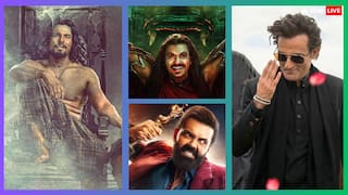 Year Ender 2025: हीरो नहीं, विलेन के नाम रहा 2025, लुक से लेकर एक्टिंग तक के फैन हुए दर्शक