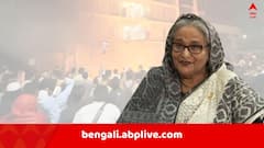 'দীপুচাঁদ দাসের দোষটা কী ছিল ?' বাংলাদেশের বর্তমান পরিস্থিতি নিয়ে অডিও বার্তা শেখ হাসিনার