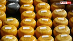 Cheese Loan: इस बैंक में किसानों को लोन देने के लिए Cheese की लगती है गारंटी, जानें कैसे शुरू हुई यह व्यवस्था?