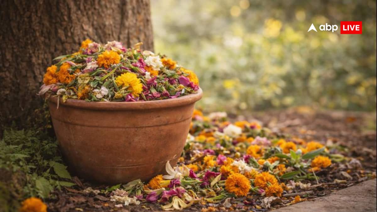 Prasad: बचे हुए प्रसाद का क्या करें? बर्बाद होने से बचाने के लिए जानें आसान और सम्मानजनक उपाय!