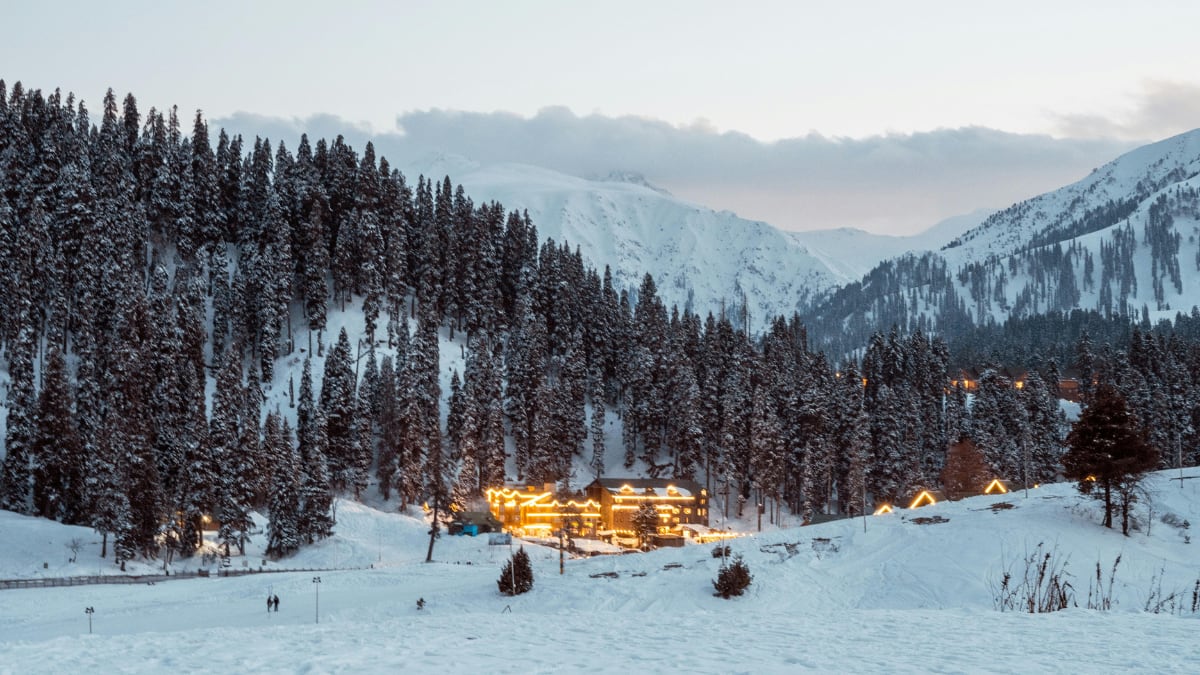 (Image Source: Canva)