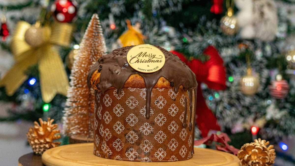 (Image Source: Canva)