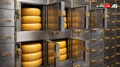 Cheese Loan: इस बैंक में किसानों को लोन देने के लिए Cheese की लगती है गारंटी, जानें कैसे शुरू हुई यह व्यवस्था?