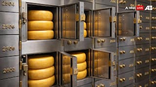 Cheese Loan: इस बैंक में किसानों को लोन देने के लिए Cheese की लगती है गारंटी, जानें कैसे शुरू हुई यह व्यवस्था?