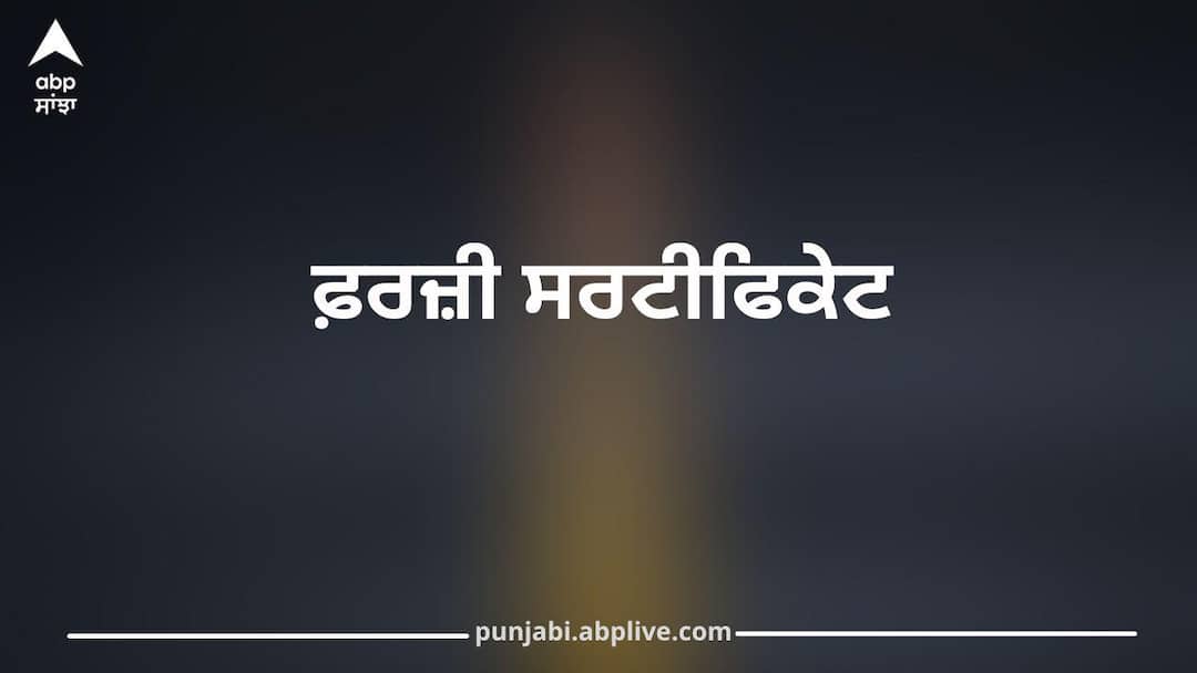ਪੰਜਾਬ ‘ਚ ਫ਼ਰਜ਼ੀ ਸਰਟੀਫਿਕੇਟ ਨਾਲ ਹਾਸਿਲ ਕੀਤੀ ਸਰਕਾਰੀ ਨੌਕਰੀ, PSEB ਦੀ ਵੈਰੀਫਿਕੇਸ਼ਨ 'ਚ ਖੁੱਲੀ ਪੋਲ, ਰਿਕਾਰਡ ‘ਚ ਕੀਤਾ ਬਲੈਕਲਿਸਟ Fake Certificates Used for Govt Jobs in Punjab; PSEB Verification Exposes Scam ਪੰਜਾਬ ‘ਚ ਫ਼ਰਜ਼ੀ ਸਰਟੀਫਿਕੇਟ ਨਾਲ ਹਾਸਿਲ ਕੀਤੀ ਸਰਕਾਰੀ ਨੌਕਰੀ, PSEB ਦੀ ਵੈਰੀਫਿਕੇਸ਼ਨ 'ਚ ਖੁੱਲੀ ਪੋਲ, ਰਿਕਾਰਡ ‘ਚ ਕੀਤਾ ਬਲੈਕਲਿਸਟ
