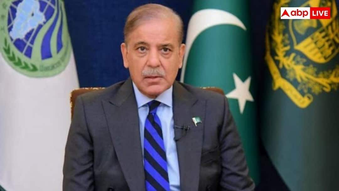 How much does a condom cost in Pakistan and why is the Sharif government asking the IMF to make it cheaper Pakistan Condom Price: पाकिस्तान में कितने का मिल रहा एक कंडोम, जिसे सस्ता करने के लिए IMF से गुहार लगा रही शरीफ सरकार?