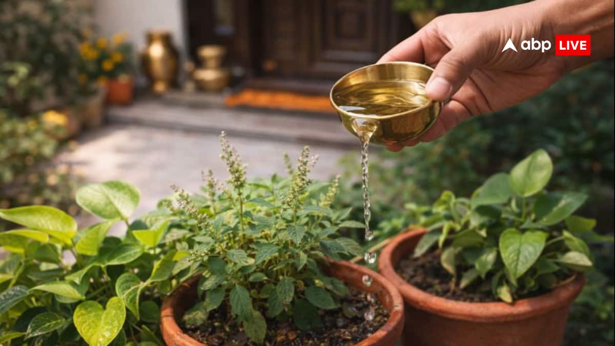 Prasad: बचे हुए प्रसाद का क्या करें? बर्बाद होने से बचाने के लिए जानें आसान और सम्मानजनक उपाय!