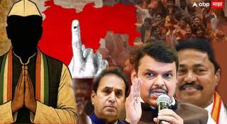 Vidarbha Election Result 2025 : विदर्भाच्या 6 जिल्ह्यातील नूतन नगराध्यक्षांच्या नावाची यादी; कुठं शिवसेना, कुठं काँग्रेस अन् बीजेपी? 