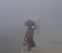 6 ਦਿਨਾਂ ਲਈ ਸੰਘਣੇ ਕੋਹਰੇ ਦਾ ਯੈਲੋ ਅਲਰਟ, IMD ਵੱਲੋਂ ਬਾਰਿਸ਼ ਦੀ ਵਾਰਨਿੰਗ! ਆਉਣ ਵਾਲੇ ਦਿਨ ਮੁਸ਼ਕਿਲ ਭਰੇ