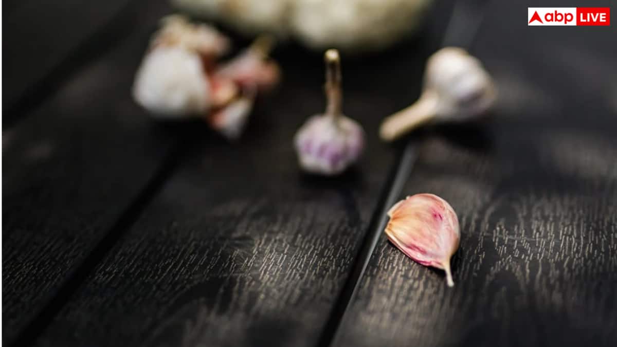 Black Garlic vs White Garlic: क्या है काला लहसुन, सफेद लहसुन और इसमें क्या है फर्क? जानें इसके फायदे