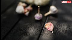 क्या है काला लहसुन, सफेद लहसुन और इसमें क्या है फर्क? जानें इसके फायदे