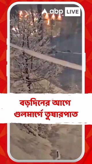 ক্রিসমাসের আগে গুলমার্গে তুষারপাত, চারিদিক ঢেকেছে সাদা চাদরে; দেখুন ভিডিও