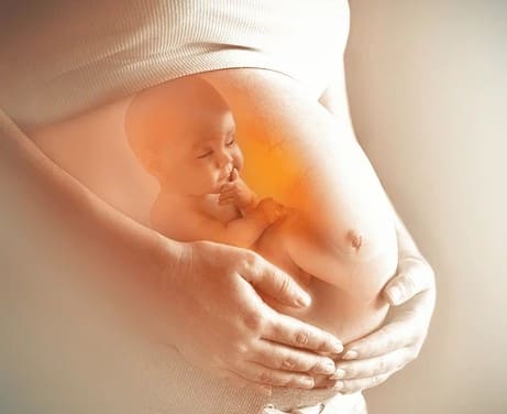 वायू प्रदूषण फक्त फुफ्फुसांनाच नाही, तर महिलांच्या प्रजनन क्षमतेवर आणि गर्भावस्थेवरही गंभीर परिणाम करत आहे. दिल्ली-एनसीआरमध्ये वाढणाऱ्या गर्भपाताच्या घटनांनी चिंता वाढली आहे.