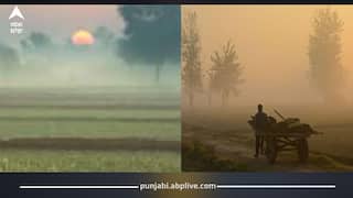 6 ਦਿਨਾਂ ਲਈ ਸੰਘਣੇ ਕੋਹਰੇ ਦਾ ਯੈਲੋ ਅਲਰਟ, IMD ਵੱਲੋਂ ਬਾਰਿਸ਼ ਦੀ ਵਾਰਨਿੰਗ! ਆਉਣ ਵਾਲੇ ਦਿਨ ਮੁਸ਼ਕਿਲ ਭਰੇ