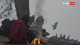 UP Weather: यूपी में Cold Day का अलर्ट, अलाव का सहारा लेने को मजबूर लोग, इन जिलों में भारी कोहरे की चेतावनी