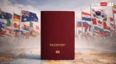 ਦੁਨੀਆ 'ਚ ਕਿਹੜੇ ਦੇਸ਼ ਦਾ ਸਭ ਤੋਂ ਜ਼ਿਆਦਾ ਤਾਕਤਵਰ Passport, ਜਾਣੋ ਭਾਰਤ ਦਾ ਨੰਬਰ?