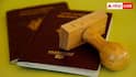 Most Powerful Passport: दुनिया में सबसे ताकतवर पासपोर्ट किस देश का, जान लीजिए भारत का नंबर?