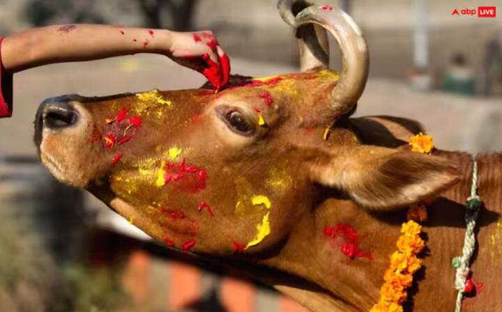 ਔਰਤਾਂ ਨੂੰ ਸਾਲ ਦੇ ਪਹਿਲੇ ਦਿਨ ਗਾਵਾਂ ਨੂੰ ਤਾਜ਼ੀ ਰੋਟੀ ਖੁਆਉਣੀ ਚਾਹੀਦੀ ਹੈ। ਲੋੜਵੰਦਾਂ ਨੂੰ ਭੋਜਨ, ਪੈਸੇ, ਕੰਬਲ ਜਾਂ ਹੋਰ ਜ਼ਰੂਰੀ ਚੀਜ਼ਾਂ ਦਾਨ ਕਰਨੀਆਂ ਚਾਹੀਦੀਆਂ ਹਨ।