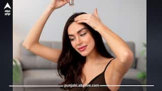 ਵਿਟਾਮਿਨ E ਕੈਪਸੂਲ ਵਾਲਾਂ ‘ਚ ਕਿਵੇਂ ਲਗਾਈਏ? ਸਹੀ ਤਰੀਕਾ ਜਾਣੋ, ਰਾਤ ਭਰ ਲਗਾ ਕੇ ਮਿਲਣਗੇ ਫਾਇਦੇ