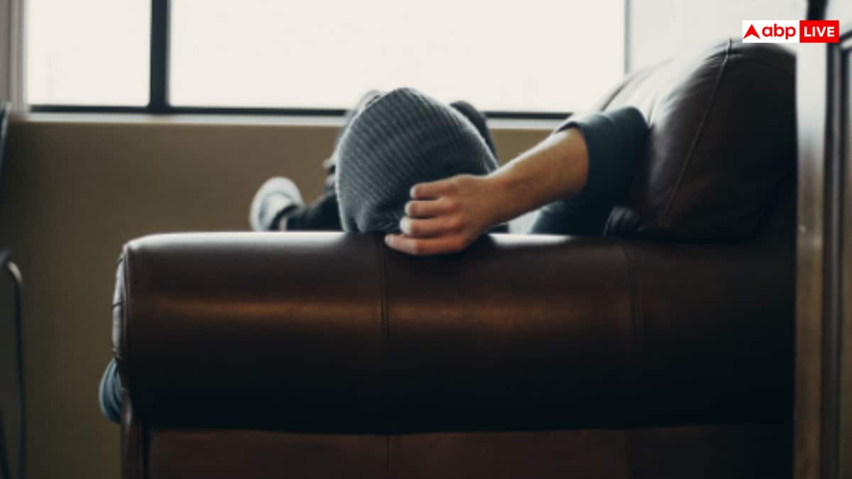 एयर प्यूरीफायर पड़ रहा महंगा, इन तरीकों से साफ कर सकते हैं घर की हवा