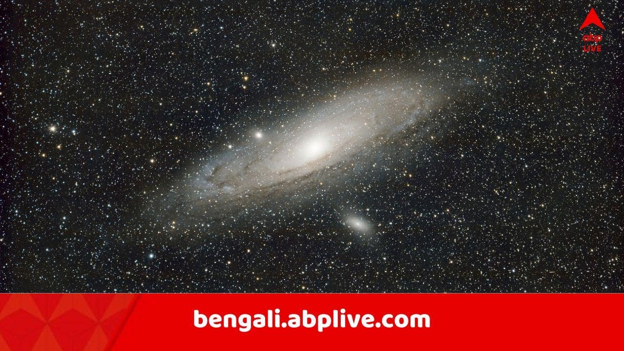 Daily Astrology: সাবধান, সন্তানের শরীর খারাপ হতে পারে যদি এই রাশির জাতক হন ! ভাড়া বাড়ি থাকলেও আরও দুর্ভোগ, কোন দেবতাকে পুজো দিলে কাটবে বিপদ ?