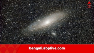 Daily Astrology: সাবধান, সন্তানের শরীর খারাপ হতে পারে যদি এই রাশির জাতক হন ! ভাড়া বাড়ি থাকলেও আরও দুর্ভোগ, কোন দেবতাকে পুজো দিলে কাটবে বিপদ ?