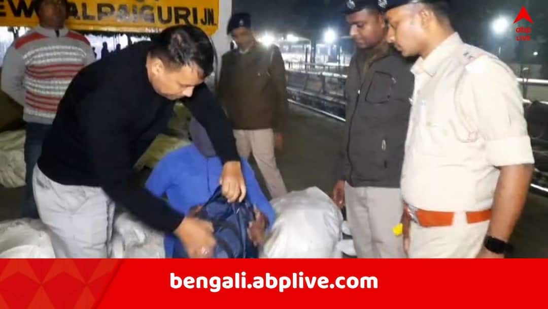 Jalpaiguri News Fake Note rescue one arrested from NGP station Jalpaiguri News: আগরতলা-দেওঘর এক্সপ্রেস থেকে গ্রেফতার আনোয়ার আনসারি, কামাখ্যা থেকে বিহারের পথে সে কী নিয়ে যাচ্ছিল ?