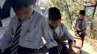 चमोली के स्कूल में भालू का आतंक, छात्र पर हमला, शिक्षकों की बहादुरी से टली बड़ी अनहोनी