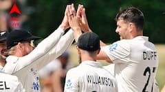 বল হাতে স্বপ্নের ২০২৫, ইতিহাস গড়লেন আরসিবির নতুন ফাস্ট বোলার