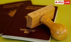 ਦੁਨੀਆ 'ਚ ਕਿਹੜੇ ਦੇਸ਼ ਦਾ ਸਭ ਤੋਂ ਜ਼ਿਆਦਾ ਤਾਕਤਵਰ Passport, ਜਾਣੋ ਭਾਰਤ ਦਾ ਨੰਬਰ?
