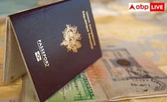 ਦੁਨੀਆ 'ਚ ਕਿਹੜੇ ਦੇਸ਼ ਦਾ ਸਭ ਤੋਂ ਜ਼ਿਆਦਾ ਤਾਕਤਵਰ Passport, ਜਾਣੋ ਭਾਰਤ ਦਾ ਨੰਬਰ?