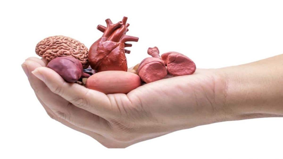 Tamil Nadu: अंग दान के मामले में तमिलनाडु बना देश का मॉडल राज्य, लेकिन इस मामले में दर्ज हुई गिरावट