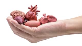 தானத்தில் தழைத்தோங்கும் தமிழ்நாடு.. 5 ஆண்டுகளில் உடல் உறுப்பு தானத்தில் மாஸ் காட்டிய தமிழகம்!