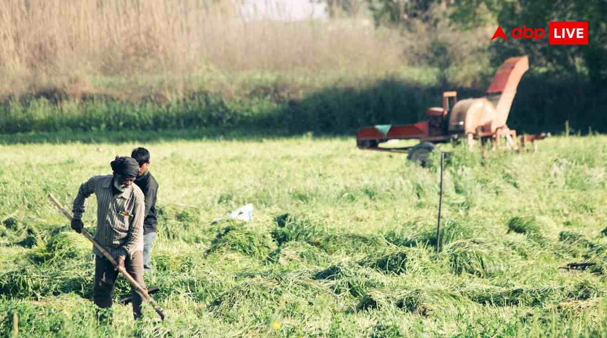 आपके खाते में किसान निधि के 2000 रुपये आएंगे या नहीं, ऐसे चेक करें स्टेटस