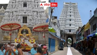 Tirupati Govindarajaswamy Temple: వైసీపీ హయాంలో గోవిందరాజస్వామి ఆలయంలో 50 కేజీల బంగారం గోల్ మాల్ ఆరోపణలు - విజిలెన్స్ విచారణ