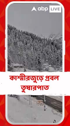 গুলমার্গ-সোনমার্গ ঢেকেছে বরফের চাদরে, দেখুন ভিডিও