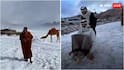 Saudi Arabia Snowfall: సౌదీ అరేబియాలో వింత దృశ్యం.. ఏడారిలో మంచు దుప్పటి, భారీ వర్షాలు.. కారణం ఏంటి?