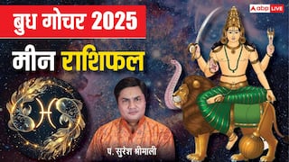 Budh Gochar 2025: 29 दिसंबर को बुध का गोचर, मीन राशि के करियर और रिश्तों में आएंगे बड़े बदलाव