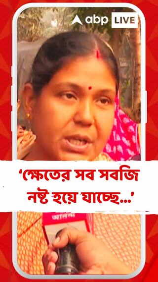 মাত্রাতিরিক্ত দূষণের ঠেলায় অতিষ্ট ডায়মন্ড হারবারবাসীরা, উগরে দিলেন ক্ষোভ